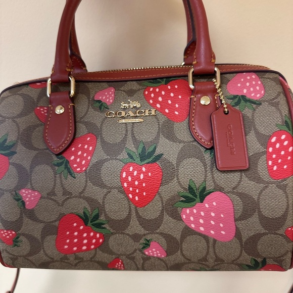 Coach Brown and Red Strawberry Print Women's Bag (SIG STRWBRY RWN) - Picture 2 of 6